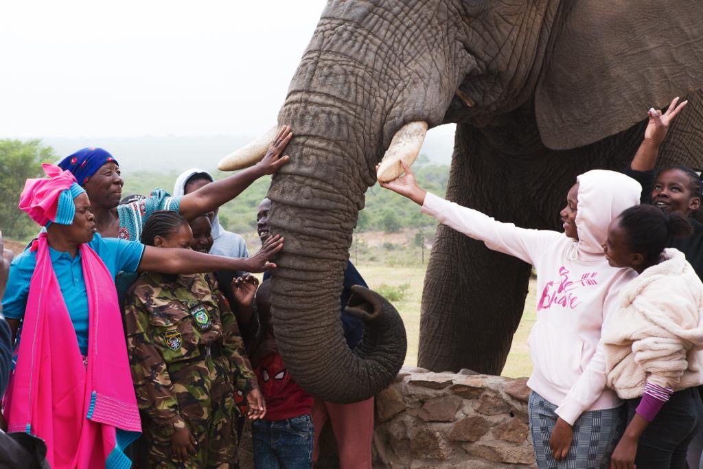Wildlife Education