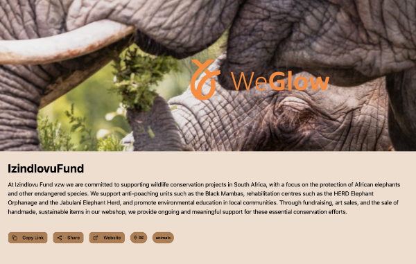 WeGlow fundraiser for the Black Mambas