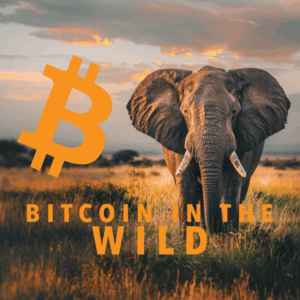 Bitcoin In The Wild Project Donation