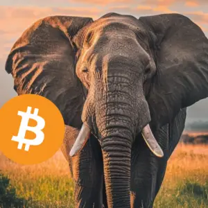 Bitcoin Items